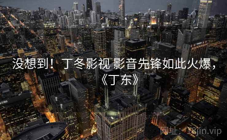 没想到！丁冬影视 影音先锋如此火爆，《丁东》