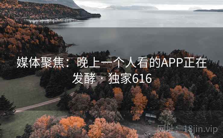 媒体聚焦：晚上一个人看的APP正在发酵 · 独家616